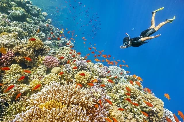 Camel Ride + Blue Hole Snorkeling + Quad Bike Tour With Lunch From Dahab