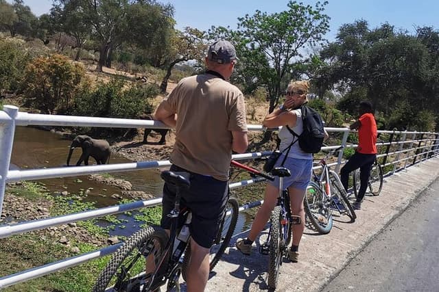 Nature and Falls Tours