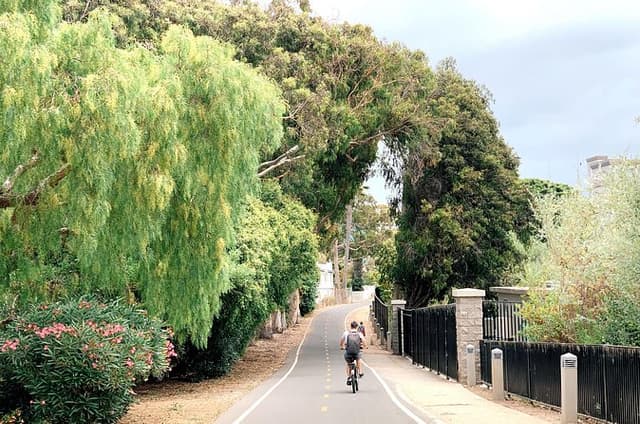 Bike Adventure Tour in Beverly Hills, Santa Monica and Venice