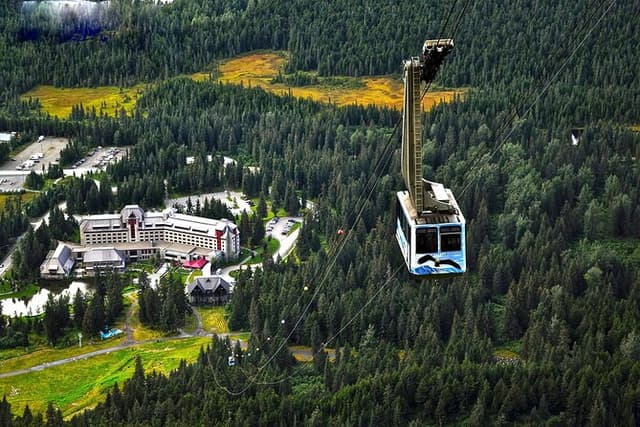 Ultimate Anchorage and Turnagain Arm Private Full Day Tour
