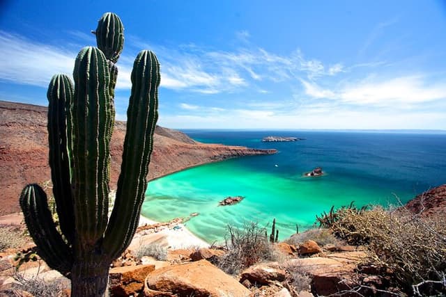 Espiritu Santo Island with Snorkeling and Lunch! Round Trip