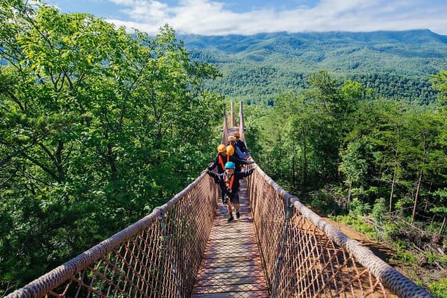 Mountaintop Zipline 2-Hours Activity