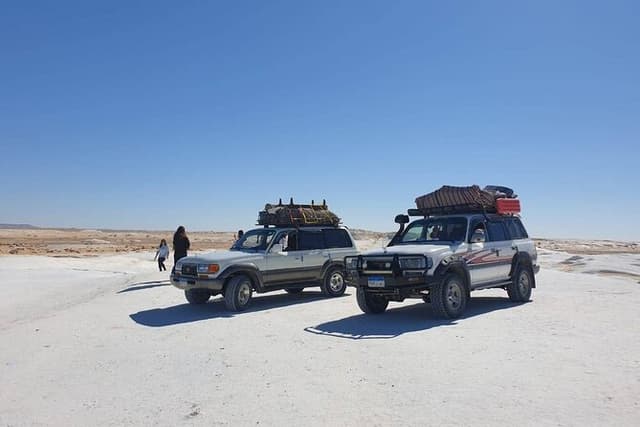 Full Day Private Bahariya Oasis and White Desert Tour from Cairo