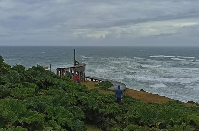 Private Activity Hiking, Time Wharf - Tricolor.