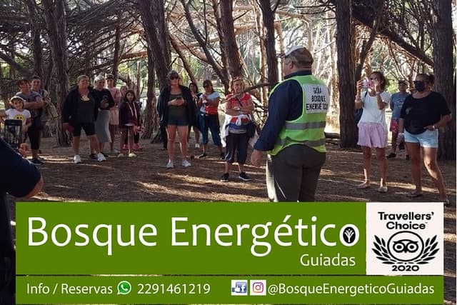 Energetic Forest: guided tour