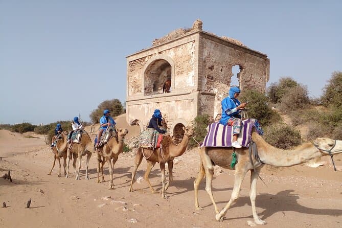 Best Essaouira Camel Ride Tours Compared