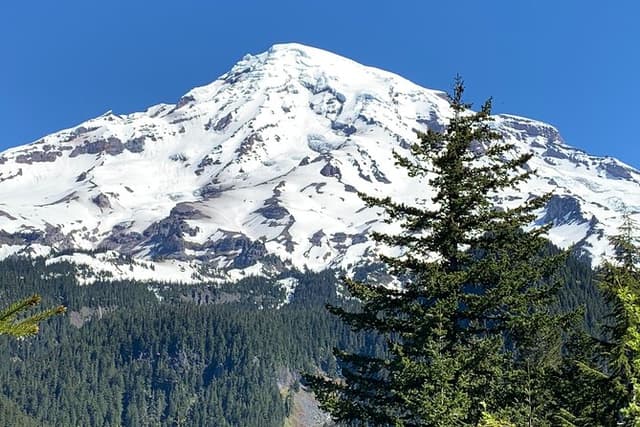 Guided hike on Mt. Rainier - old forest, falls and glacier views