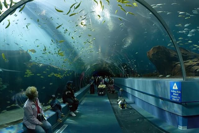 Ultimate Atlanta Walking Tour and Activities