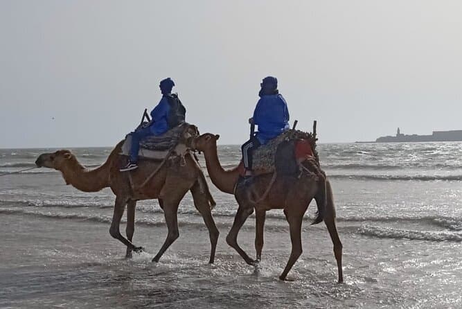 Experience the Magic: Best Camel Trekking in Essaouira