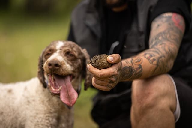 Truffle Hunting at Meteora