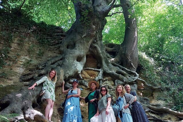 A Tour of Glastonbury, Guided by the Trees.