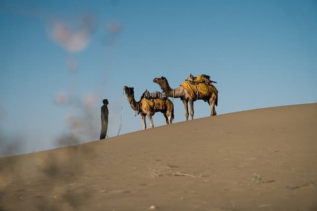 Peaceful Non -Touristic Sunset Camel Safari With Dinner