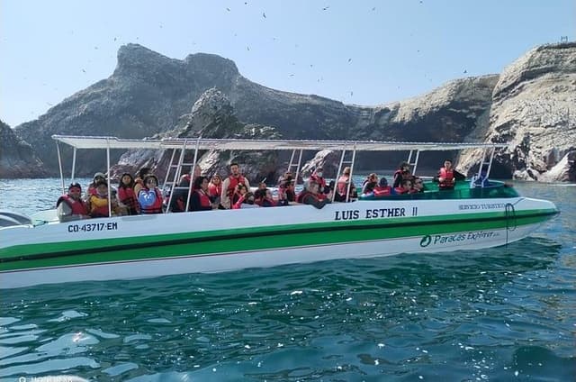 Ballestas Islands from Paracas: boat tour with roof