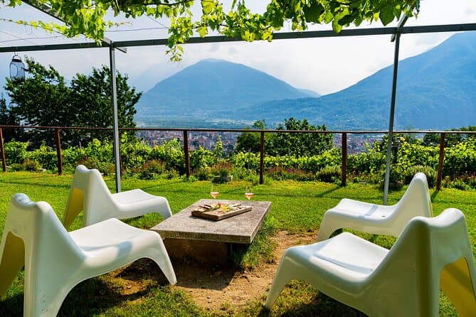 Premium Wine Tasting Tours: Ossola Valley & Lake Maggiore