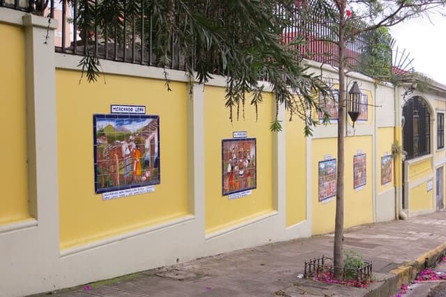 3-Hour Downtown San Jose Walking Tour