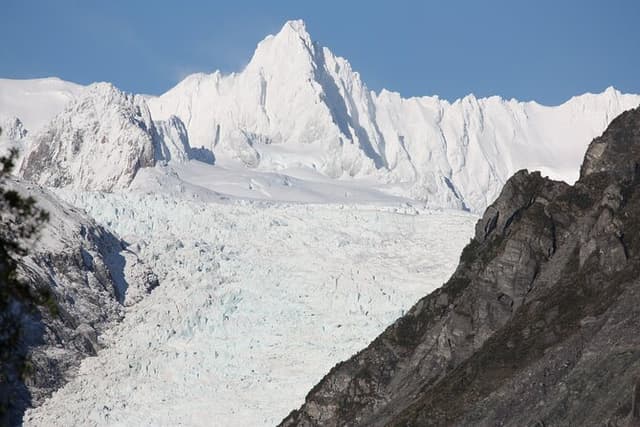 Fox Glacier Nature Tour