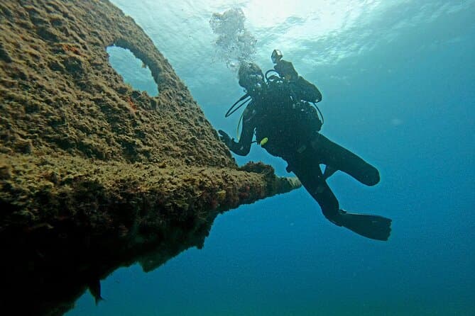 Top-Rated Diving Tours in Terceira