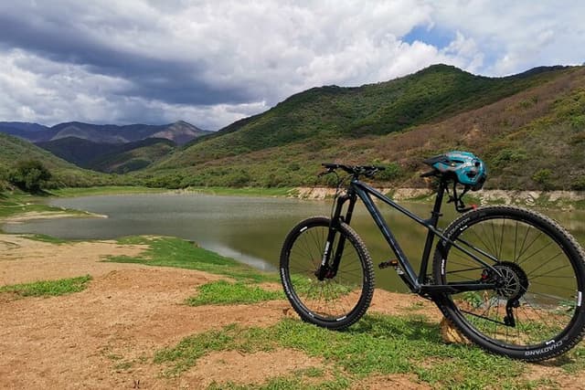 Oaxaca to Tule Tree Bike Tour - 6 hours