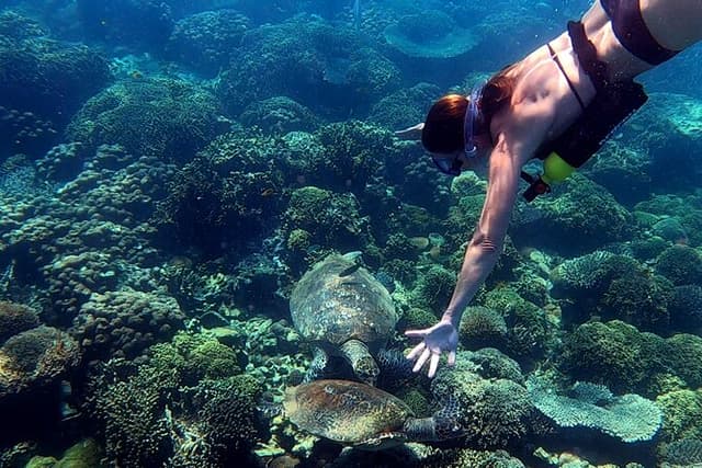 Full-Day Exclusive Private Tour to Nosy Tanikely Marine Reserve