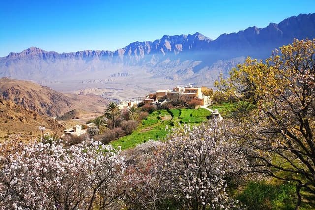 Full-Day Private Tour to Nakhal & Wakan