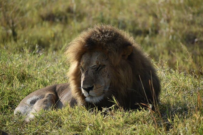 Exquisite Kenya Luxury Safari & Nairobi Elite Travel