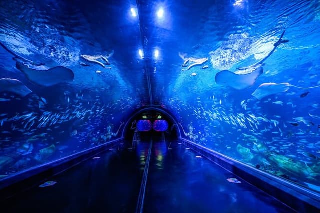 Aquarium Phuket (Only Admission ticket)