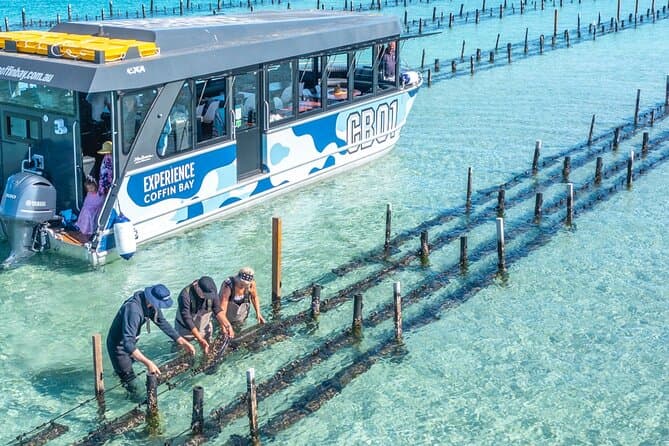 Best Coffin Bay Oyster Farm Tours & Port Lincoln Seafood
