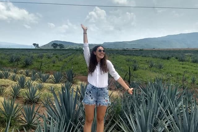 Private Tour of Magic Town Tequila Adventure Day Tour