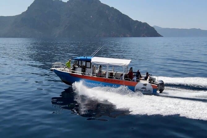 Best Scandola Boat Tours from Ajaccio
