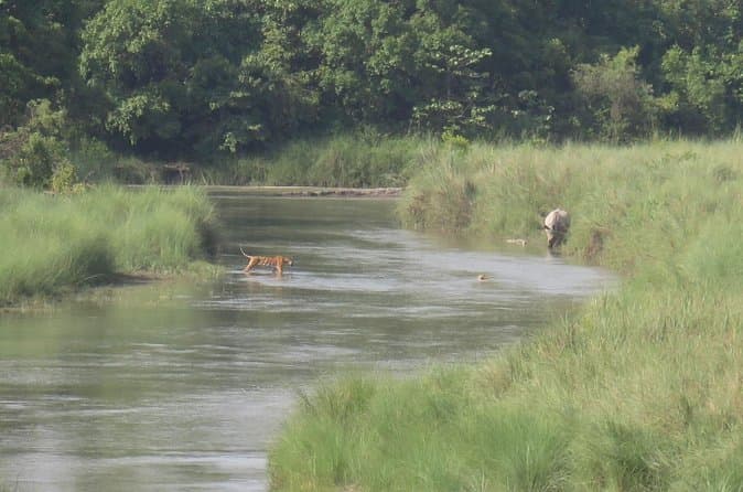 Compare Best Bardia Safari Tours