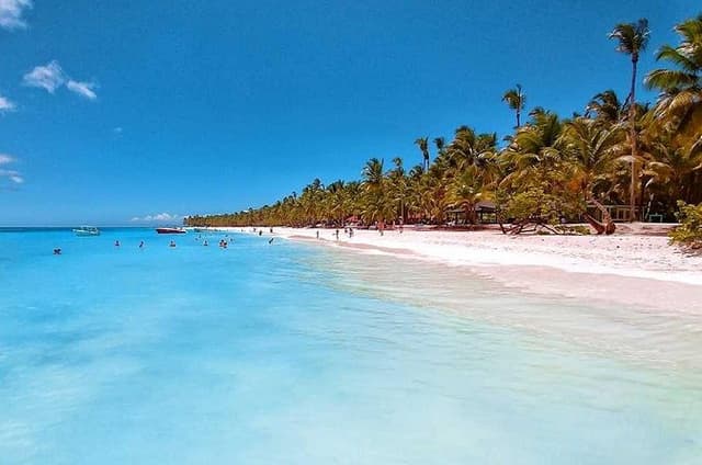 Saona Island Full-Day Tour from Las Terrenas with Lunch