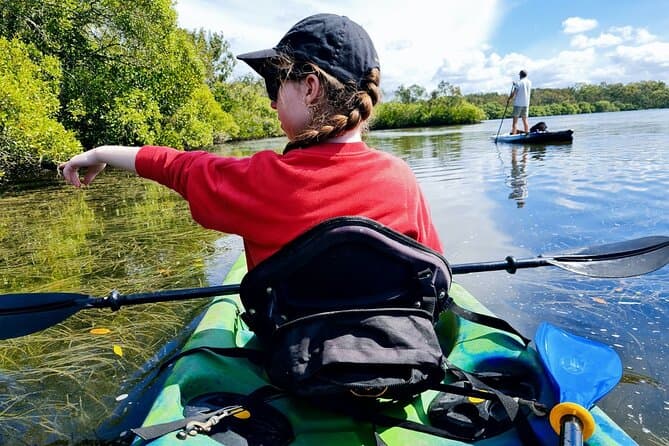 Noosa Everglades Tour