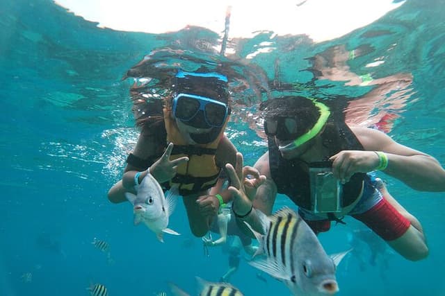 Official Chankanaab Park Admission with Snorkeling