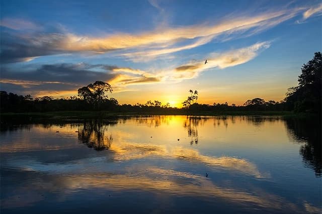 Tambopata Eco Jungle 3 Days Tour: (Nature and Wildlife)