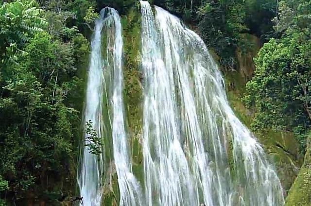 Samaná Full-Day Cultural Adventure Tour from Santo Domingo