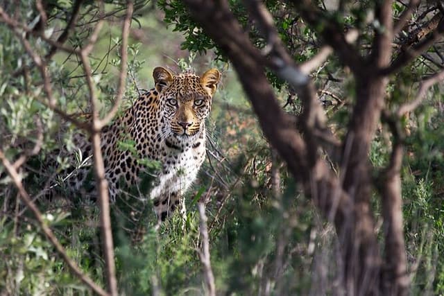 Around Gaborone Adventure