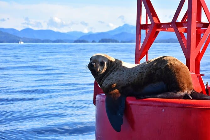 Best Sitka Boat Tours: Explore Alaska's Coastal Wonders
