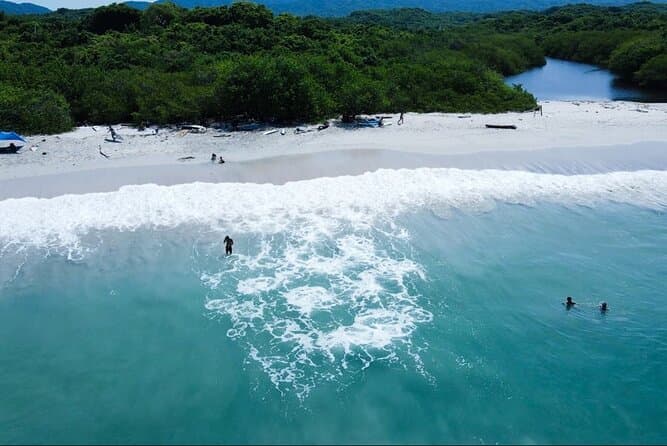 Top-Rated Surfing Experiences in Sayulita, Mexico