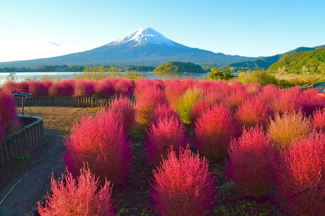 Full Day Tour to Mount Fuji in Spanish