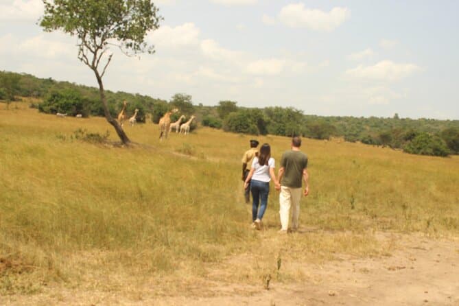 Best Lake Mburo Wildlife Safaris & Tours from Kampala