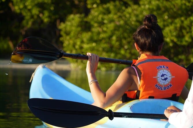 Best Isla Holbox Mangrove Kayak Adventure & Eco-Tour