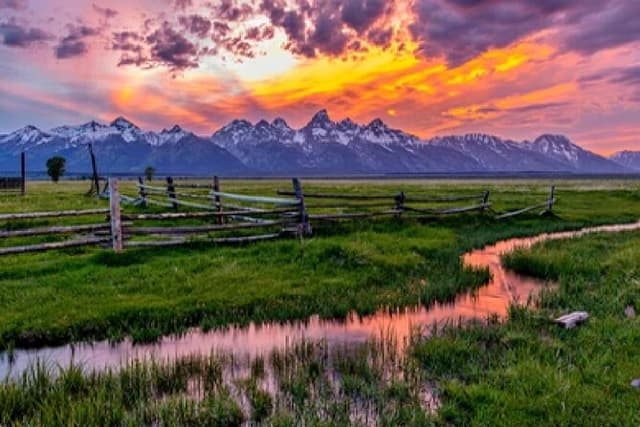 Grand Teton Wildlife Safari in a Enclosed or Open-Air Vehicle (season dependent)
