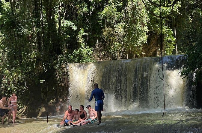 Compare Top-Rated Black River Safari Tours