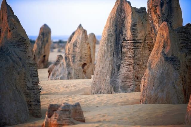 Pinnacles Desert, Yanchep and Swan Valley with Lunch
