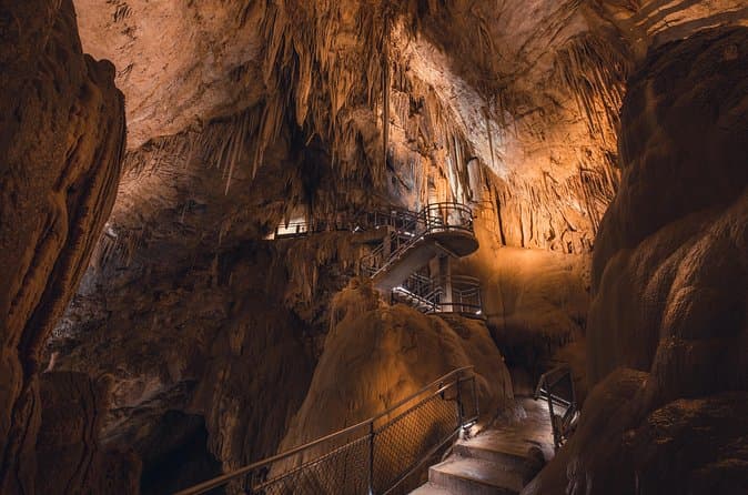 Explore Tahune Airwalk & Caves Tours Near Hobart
