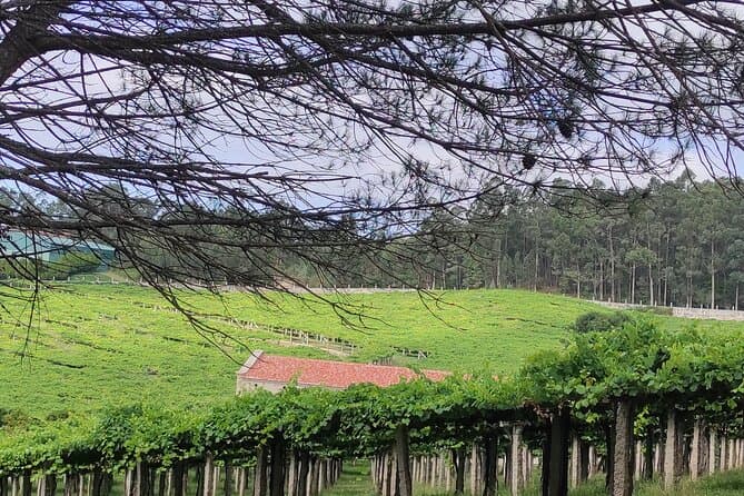 Compare Top Rias Baixas Shore Tours from La Coruna