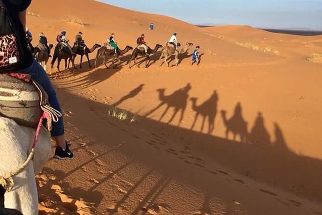 Desert excursion with camel trek into the camp Dinner breakfast