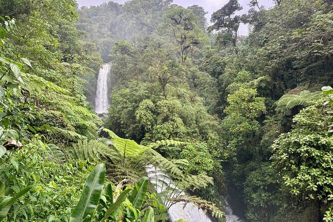 Best La Paz Waterfall Gardens Tours from San Jose