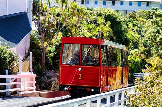 The Best of Wellington Private Walking Tour