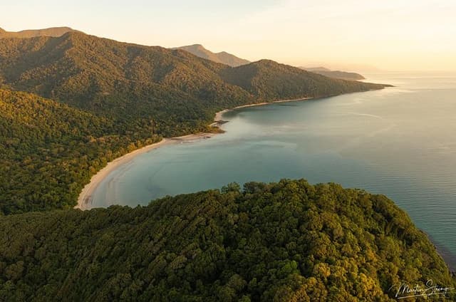 Daintree Ancient Giants Easy Rainforest Hike, Beach, Swim & Lunch